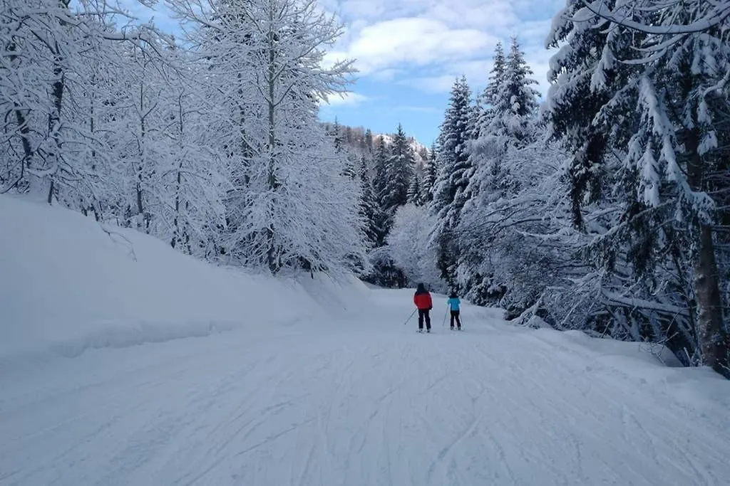 Ski-In Ski-Out Oz En Oisans E4 Оз 0*,